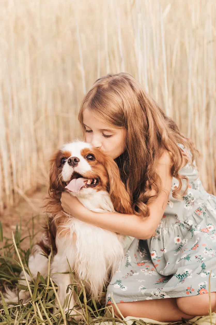 Une famille d'accueil avec son chien adopté au coucher du soleil