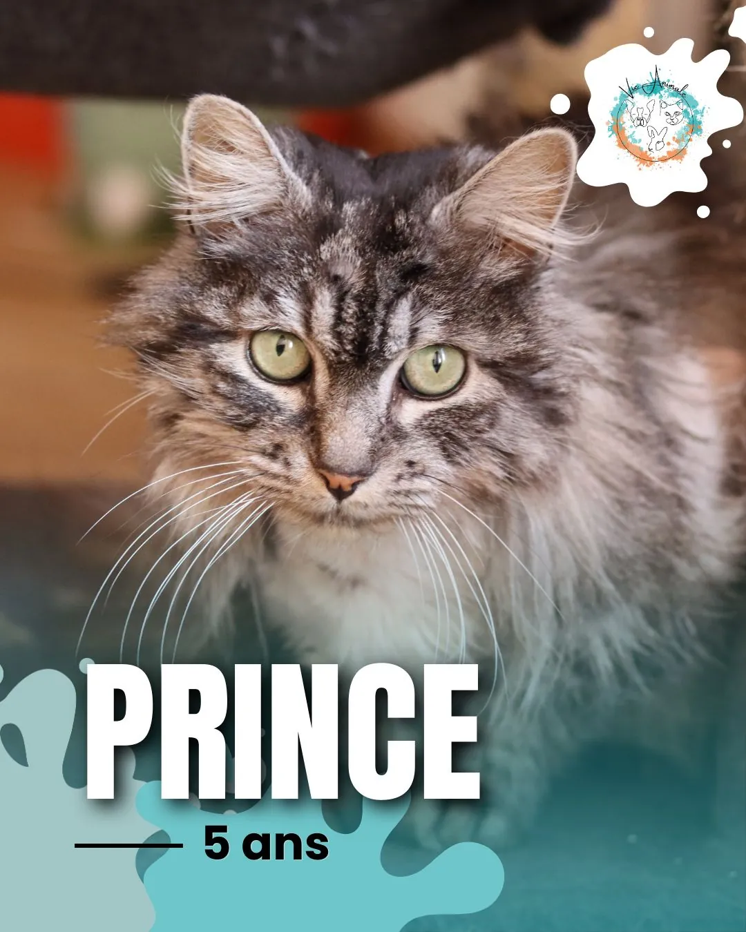 Prince,