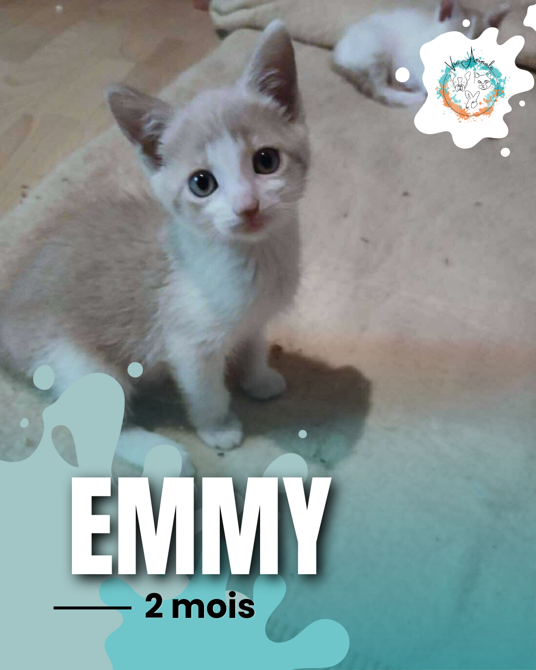 Emmy