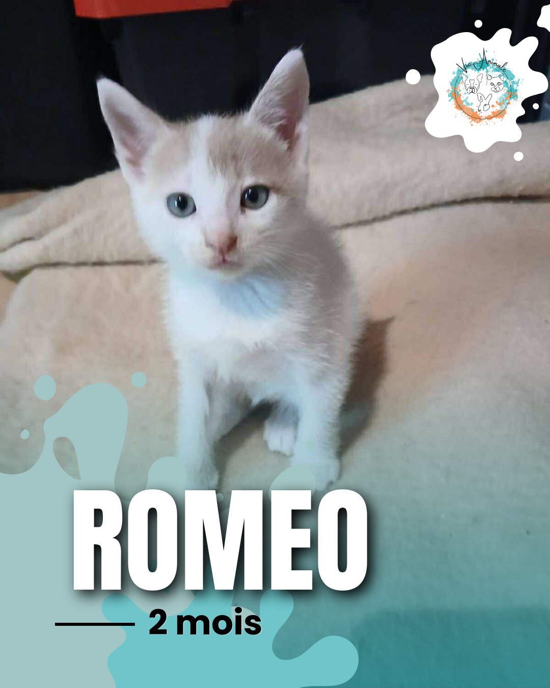Romeo