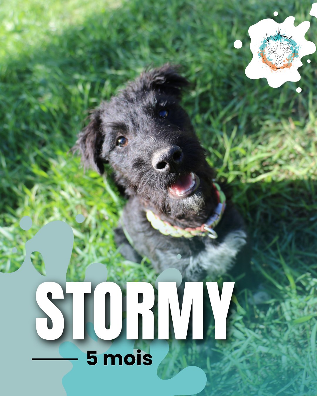 Stormy