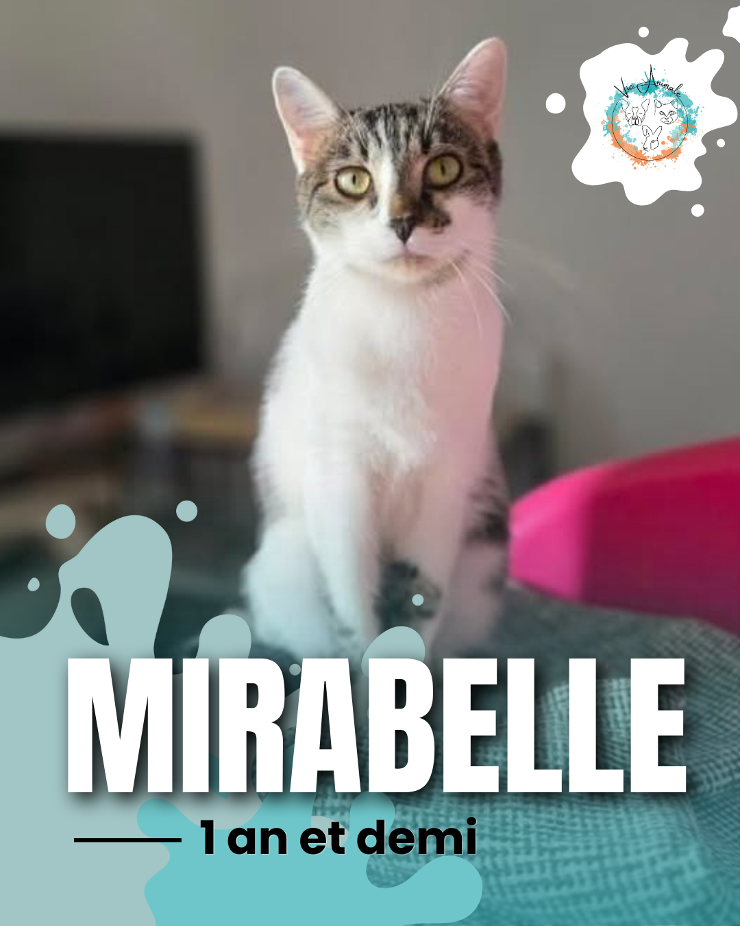 Mirabelle