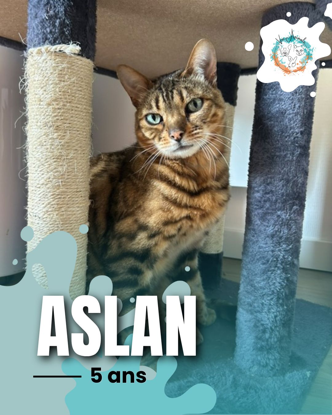 583752124_1146560430966335_175657229808982277_n