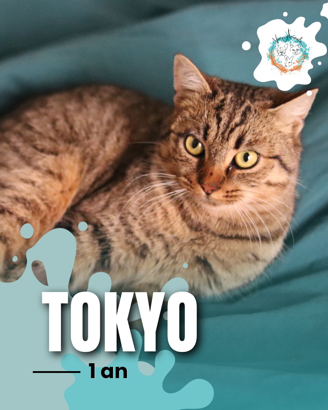 591136281_1153759860246392_1594884410387912840_n