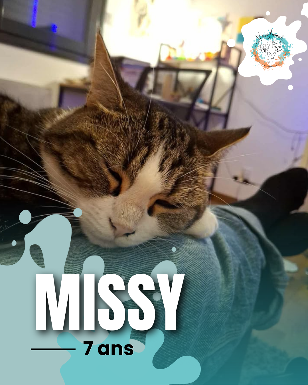 Post Adoption Animaux(8)